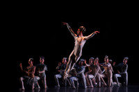 20160317_Midsummer_Nights_Dream_DR_Closeup_IMG_6729