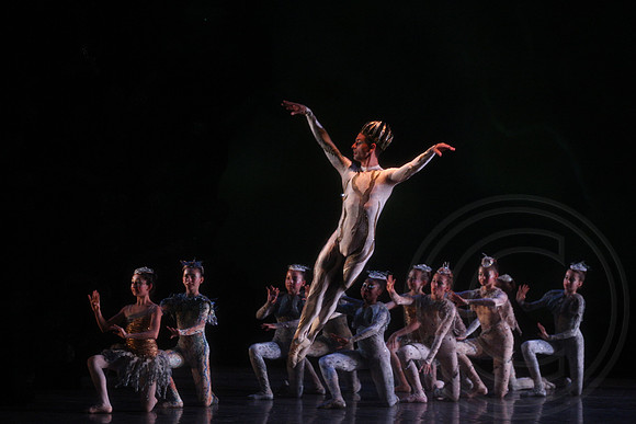 20160317_Midsummer_Nights_Dream_DR_Closeup_IMG_6729