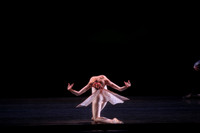 20160317_Midsummer_Nights_Dream_DR_Closeup_IMG_6883