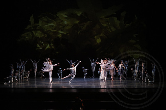 20160317_Midsummer_Nights_Dream_DR_Closeup_75A8951