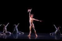 20160317_Midsummer_Nights_Dream_DR_Closeup_IMG_7025