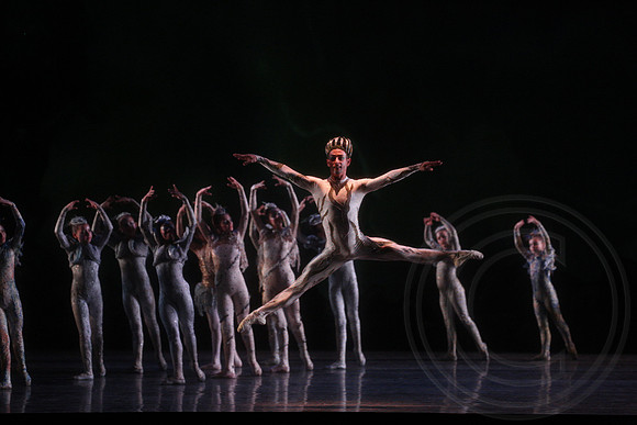 20160317_Midsummer_Nights_Dream_DR_Closeup_IMG_6732