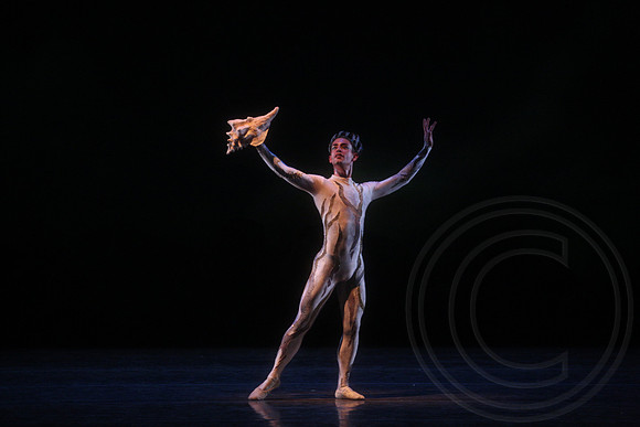 20160317_Midsummer_Nights_Dream_DR_Closeup_IMG_7047