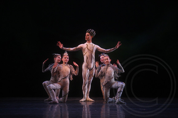 20160317_Midsummer_Nights_Dream_DR_Closeup_IMG_6631