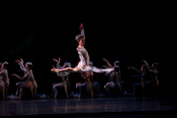 20160317_Midsummer_Nights_Dream_DR_Closeup_IMG_6970