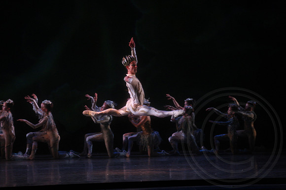 20160317_Midsummer_Nights_Dream_DR_Closeup_IMG_6970