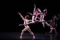 20160317_Midsummer_Nights_Dream_DR_Closeup_IMG_6862
