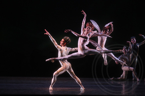 20160317_Midsummer_Nights_Dream_DR_Closeup_IMG_6862