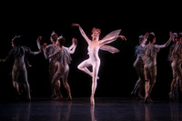 20160317_Midsummer_Nights_Dream_DR_Closeup_IMG_6938