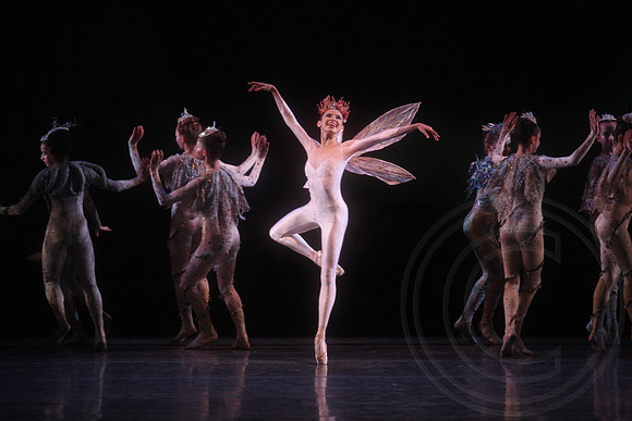 20160317_Midsummer_Nights_Dream_DR_Closeup_IMG_6938
