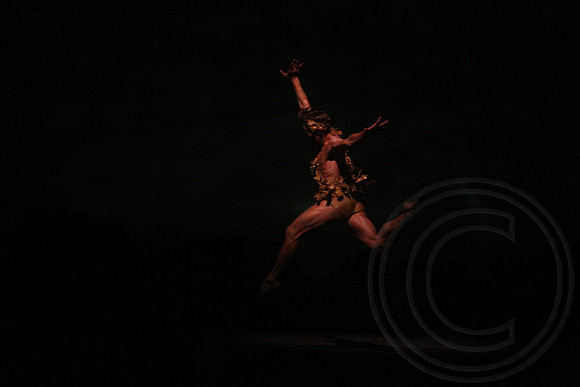 20160317_Midsummer_Nights_Dream_DR_Closeup_IMG_7096