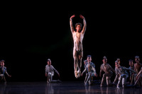 20160317_Midsummer_Nights_Dream_DR_Closeup_IMG_6702