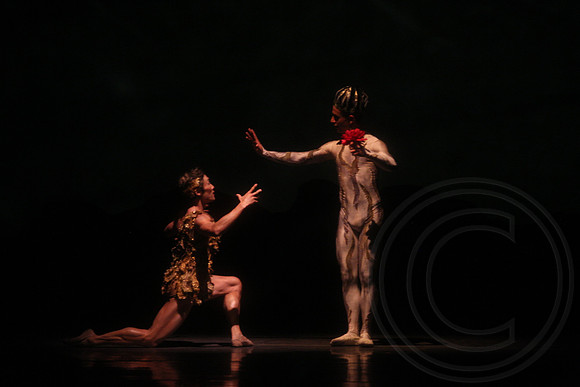 20160317_Midsummer_Nights_Dream_DR_Closeup_IMG_7116