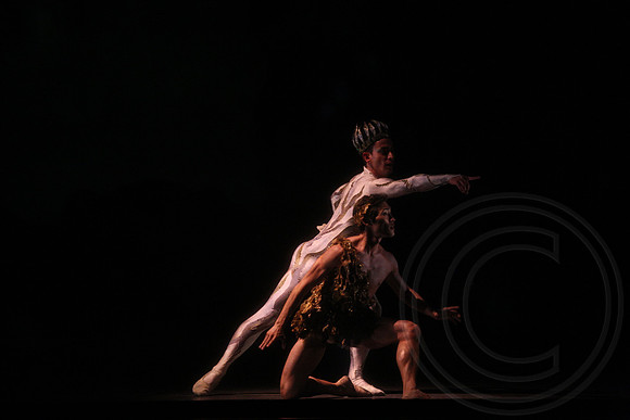 20160317_Midsummer_Nights_Dream_DR_Closeup_IMG_7067