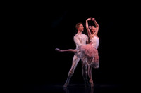 20160317_Midsummer_Nights_Dream_DR_Closeup_IMG_7157