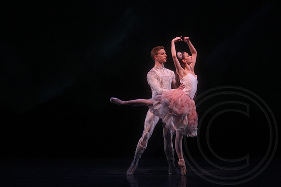20160317_Midsummer_Nights_Dream_DR_Closeup_IMG_7157