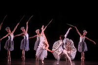 20160317_Midsummer_Nights_Dream_DR_Closeup_IMG_6529