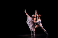 20160317_Midsummer_Nights_Dream_DR_Closeup_IMG_7415