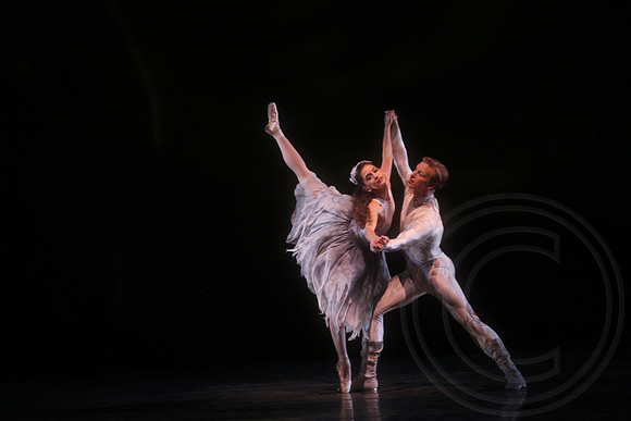 20160317_Midsummer_Nights_Dream_DR_Closeup_IMG_7415