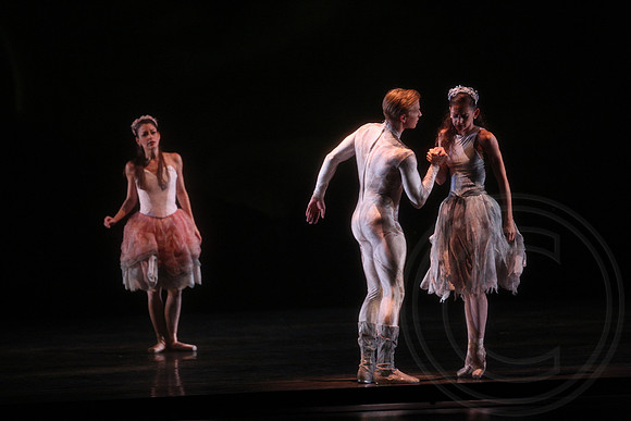 20160317_Midsummer_Nights_Dream_DR_Closeup_IMG_7517