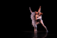 20160317_Midsummer_Nights_Dream_DR_Closeup_IMG_7407