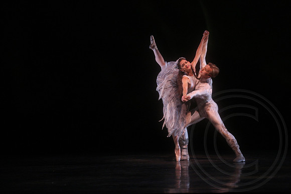 20160317_Midsummer_Nights_Dream_DR_Closeup_IMG_7407