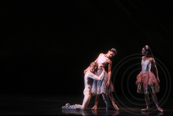 20160317_Midsummer_Nights_Dream_DR_Closeup_IMG_7474