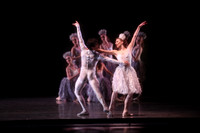 20160317_Midsummer_Nights_Dream_DR_Closeup_IMG_6402