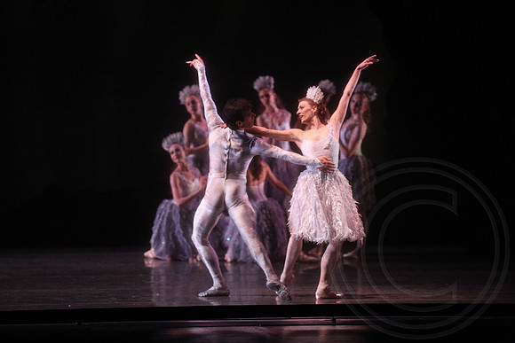 20160317_Midsummer_Nights_Dream_DR_Closeup_IMG_6402