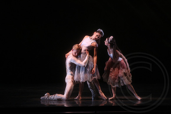 20160317_Midsummer_Nights_Dream_DR_Closeup_IMG_7477