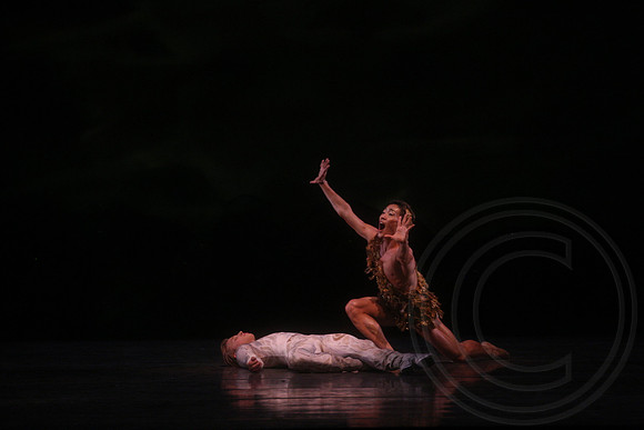 20160317_Midsummer_Nights_Dream_DR_Closeup_IMG_7374