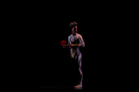 20160317_Midsummer_Nights_Dream_DR_Closeup_IMG_7212