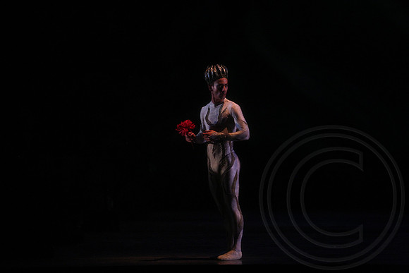 20160317_Midsummer_Nights_Dream_DR_Closeup_IMG_7212
