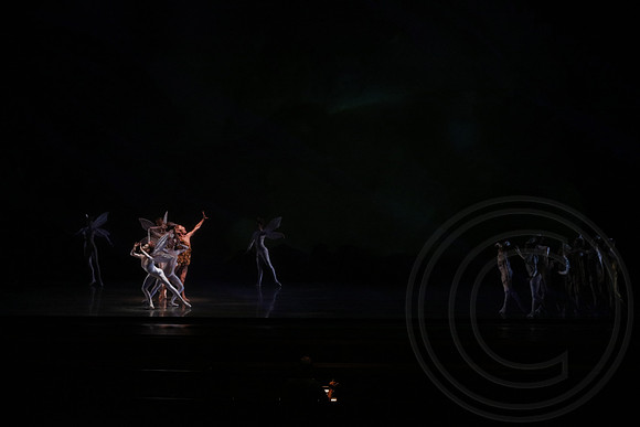 20160317_Midsummer_Nights_Dream_DR_Wide_75A4325