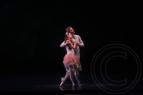 20160317_Midsummer_Nights_Dream_DR_Closeup_IMG_7208