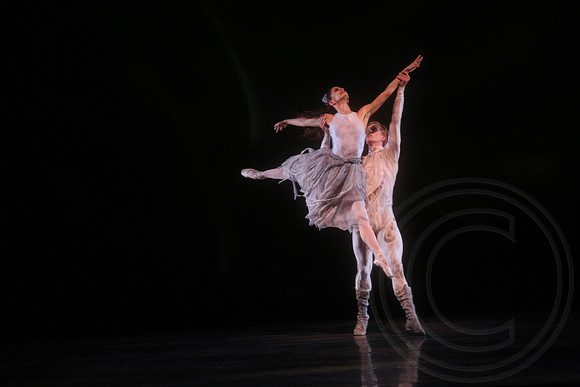 20160317_Midsummer_Nights_Dream_DR_Closeup_IMG_7498