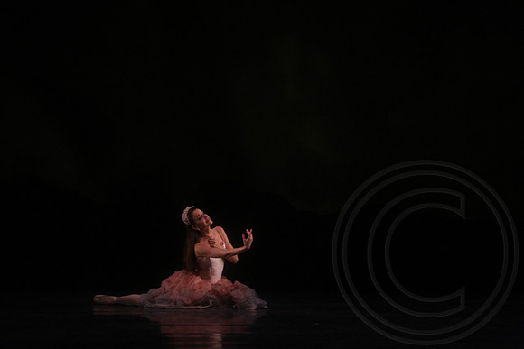20160317_Midsummer_Nights_Dream_DR_Closeup_IMG_7328