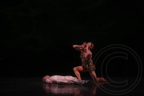 20160317_Midsummer_Nights_Dream_DR_Closeup_IMG_7372