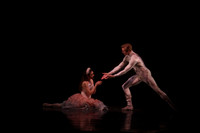 20160317_Midsummer_Nights_Dream_DR_Closeup_IMG_7320
