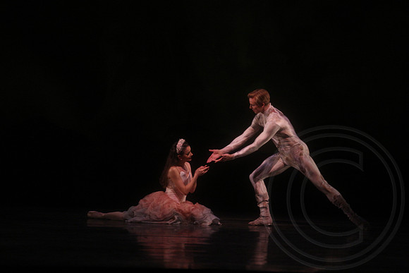 20160317_Midsummer_Nights_Dream_DR_Closeup_IMG_7320
