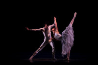 20160317_Midsummer_Nights_Dream_DR_Closeup_IMG_7290
