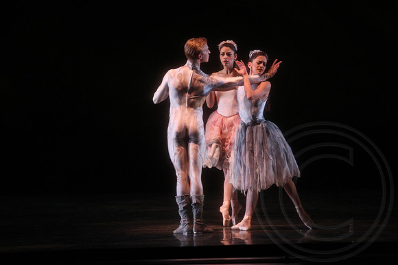 20160317_Midsummer_Nights_Dream_DR_Closeup_IMG_7486
