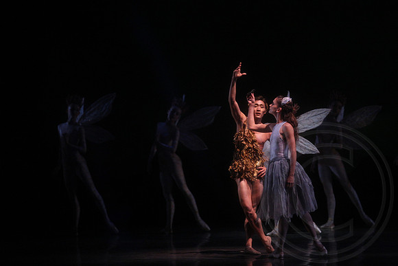 20160317_Midsummer_Nights_Dream_DR_Closeup_IMG_5573
