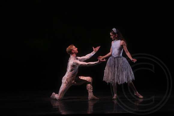20160317_Midsummer_Nights_Dream_DR_Closeup_IMG_7398