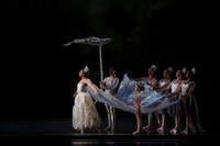 20160317_Midsummer_Nights_Dream_DR_Closeup_IMG_5688