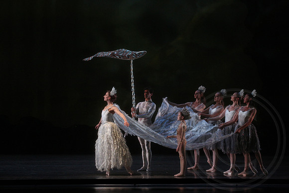 20160317_Midsummer_Nights_Dream_DR_Closeup_IMG_5688