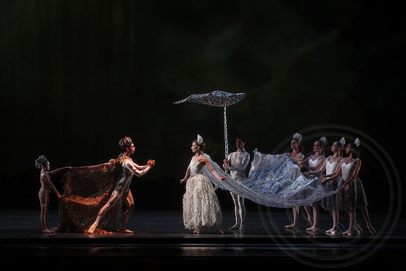 20160317_Midsummer_Nights_Dream_DR_Closeup_IMG_5725