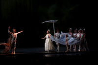 20160317_Midsummer_Nights_Dream_DR_Closeup_IMG_5700