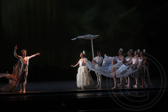 20160317_Midsummer_Nights_Dream_DR_Closeup_IMG_5700
