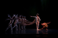 20160317_Midsummer_Nights_Dream_DR_Closeup_IMG_5650_crop